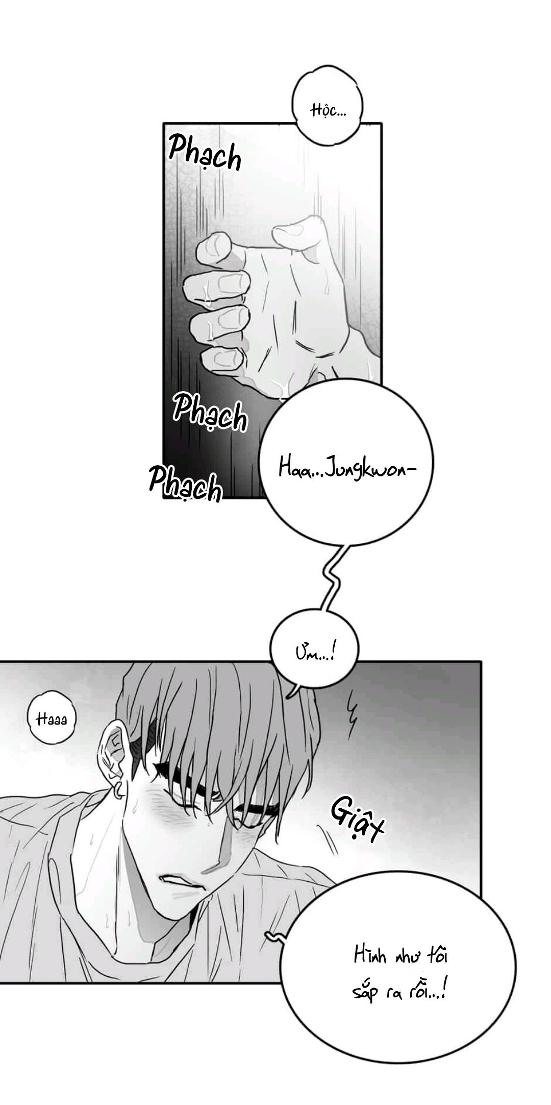 Chúng Ta Đều Là Kẻ Ngốc - Chap 2