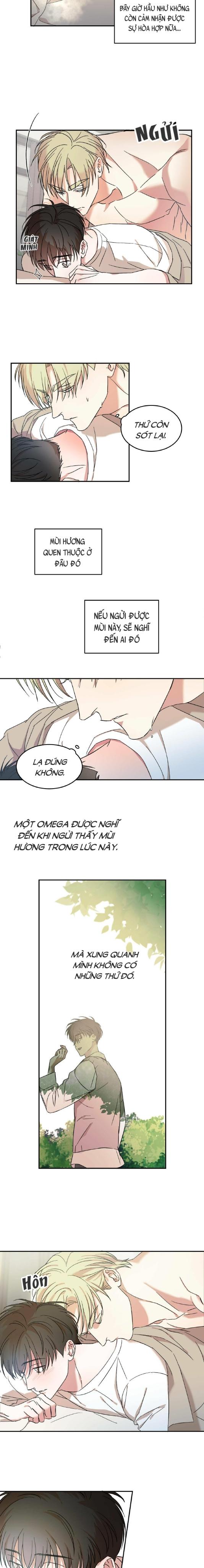 Cấp Trên - Chap 10