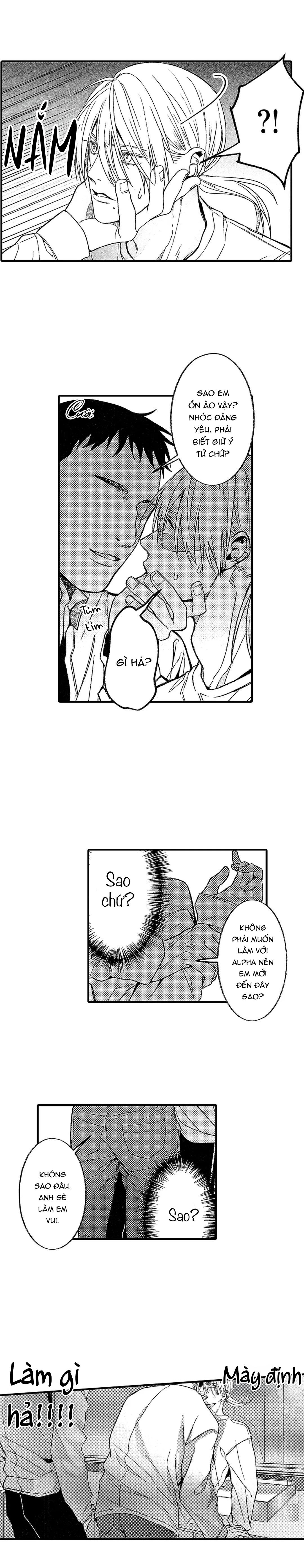 Tái sinh thành một Omega - Chap 6