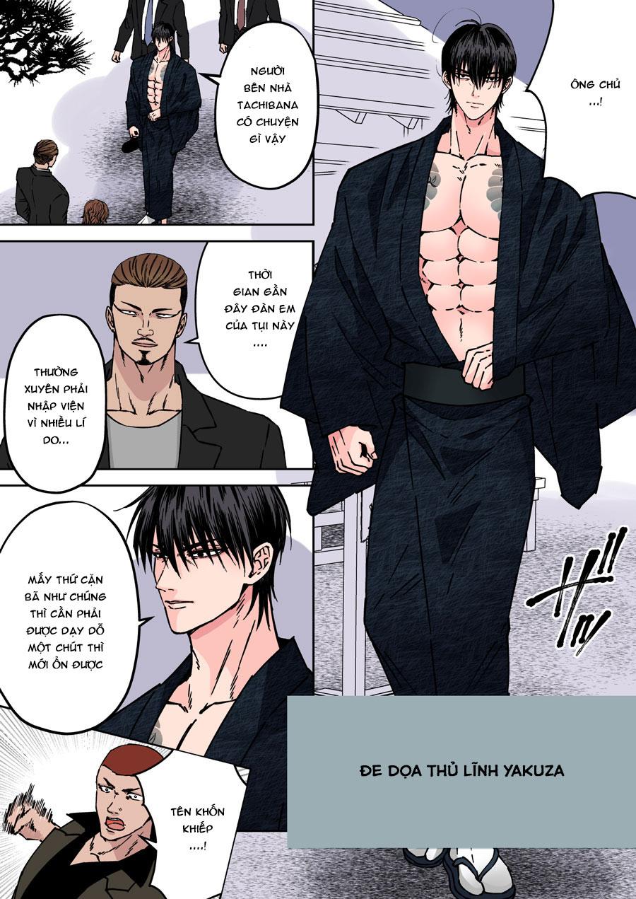 Tổng hợp oneshot nhà Guess - Chap 107