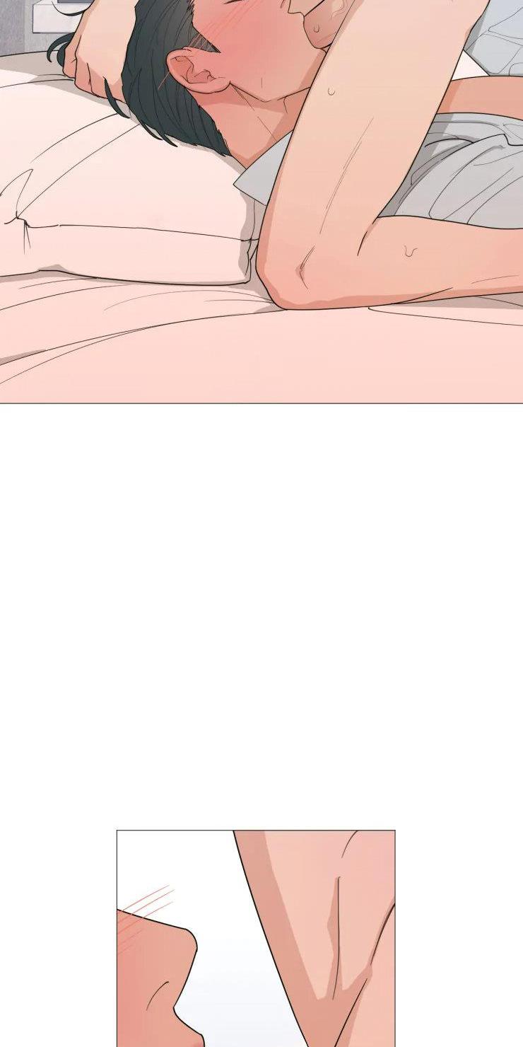 Tổng hợp boylove 18+ - Chap 241