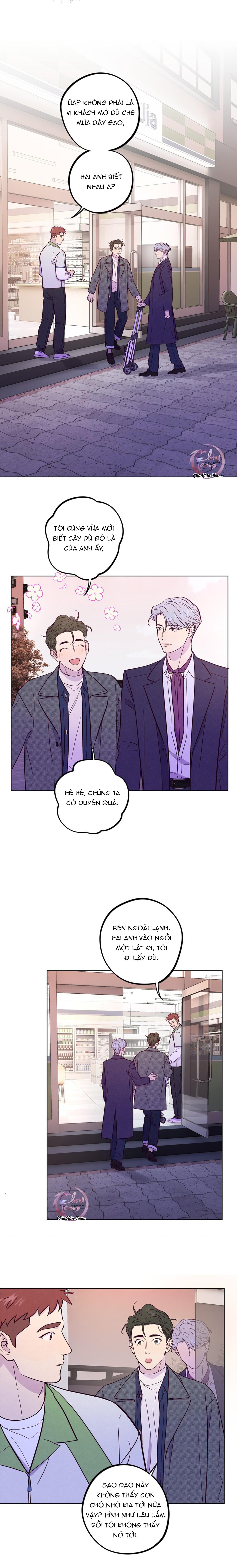 Giăng Bẫy Bác Sĩ Hồ Ly - Chap 52