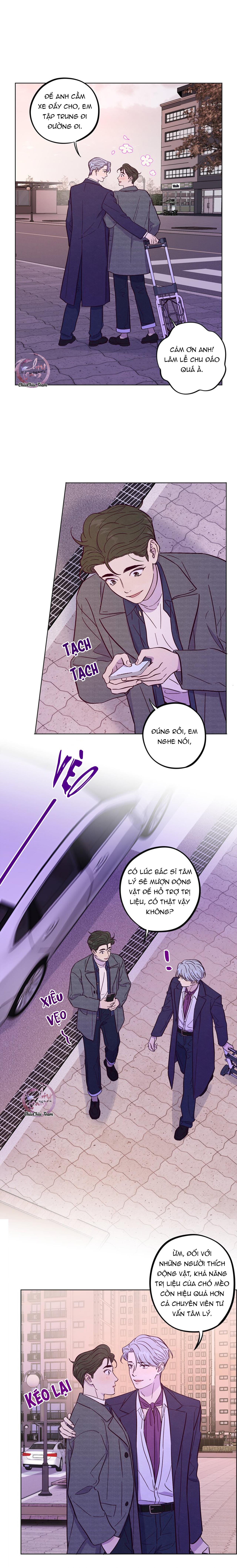 Giăng Bẫy Bác Sĩ Hồ Ly - Chap 52