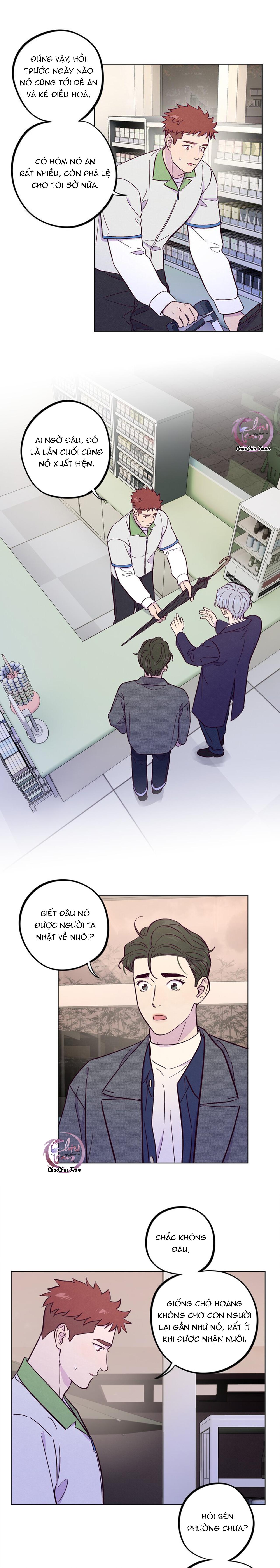 Giăng Bẫy Bác Sĩ Hồ Ly - Chap 52