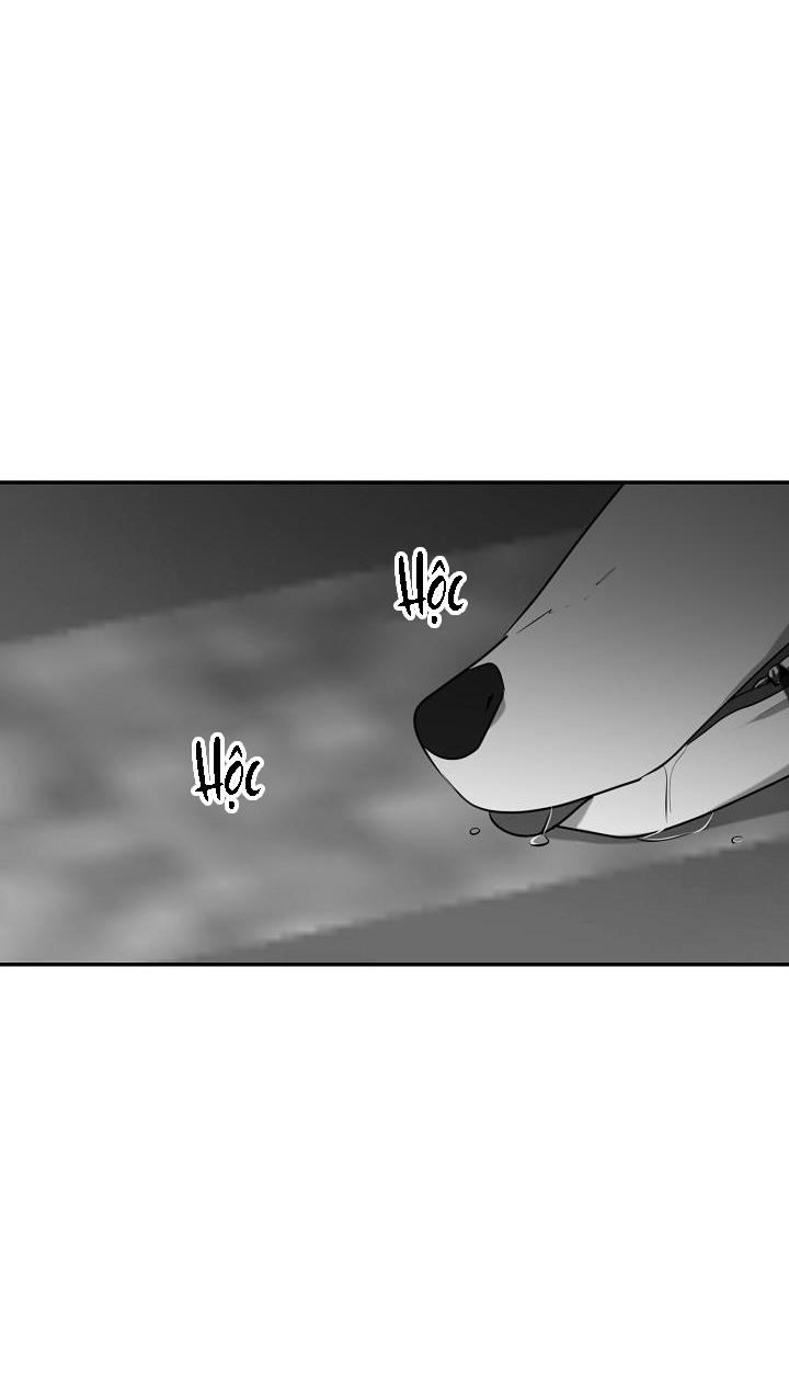 DƯỠNG THÚ CƯNG - Chap 28