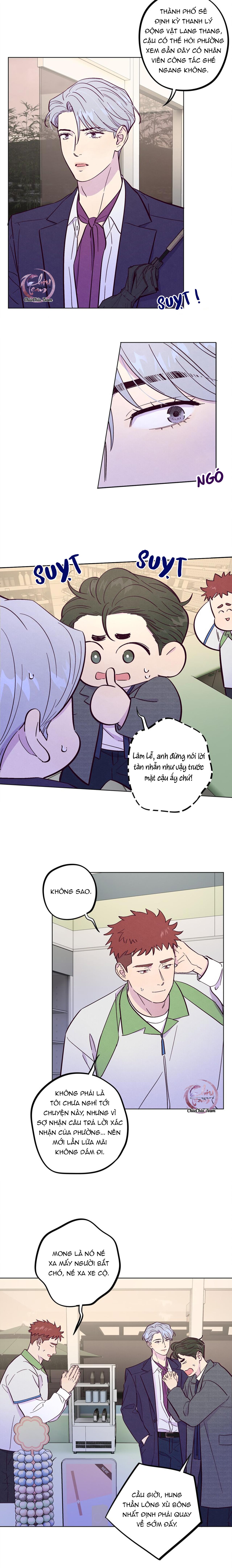 Giăng Bẫy Bác Sĩ Hồ Ly - Chap 52