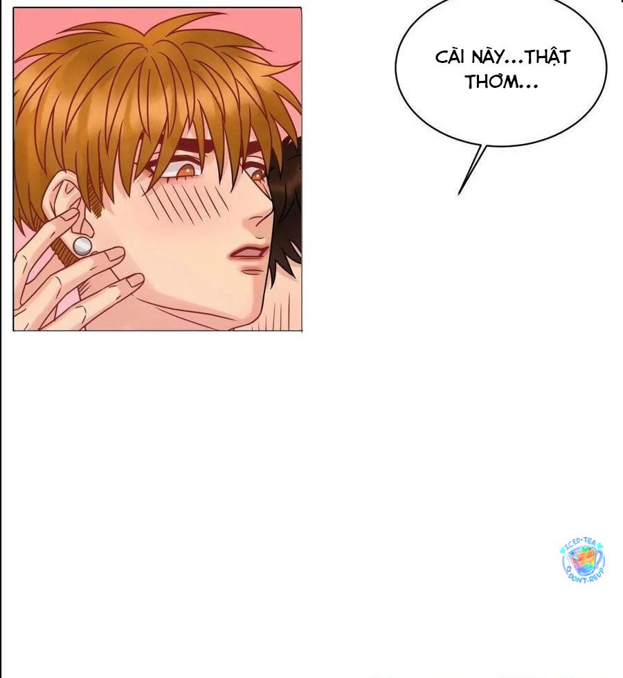 Ký túc xá nam phòng 303 - Chap 199