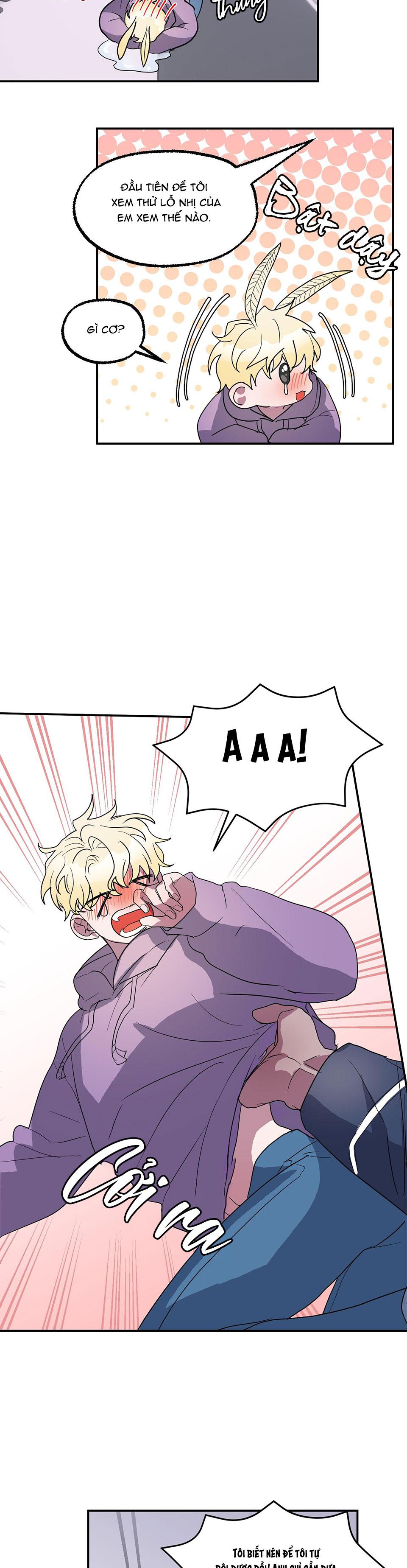 CÁ MẬP VÀ CÔ DÂU THỎ - Chap 5