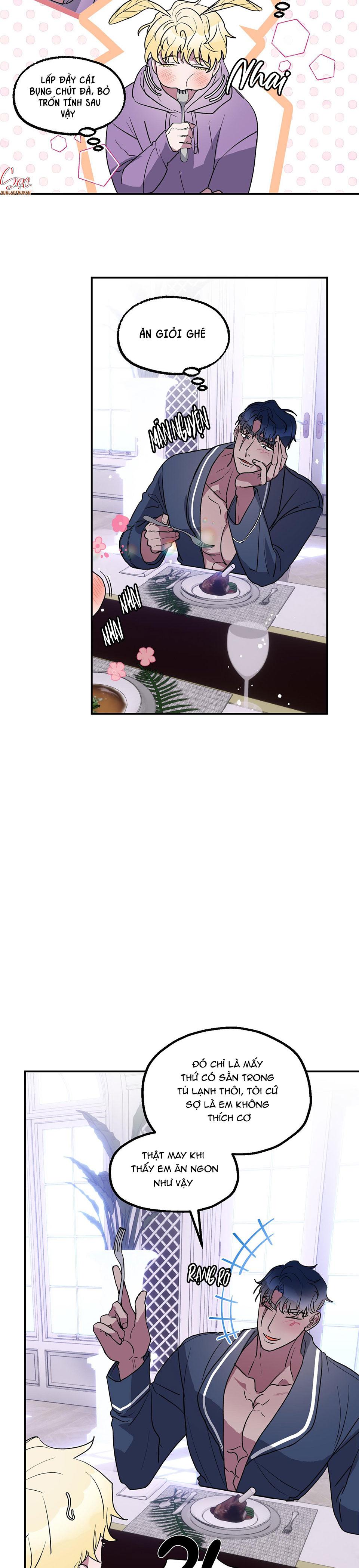 CÁ MẬP VÀ CÔ DÂU THỎ - Chap 5