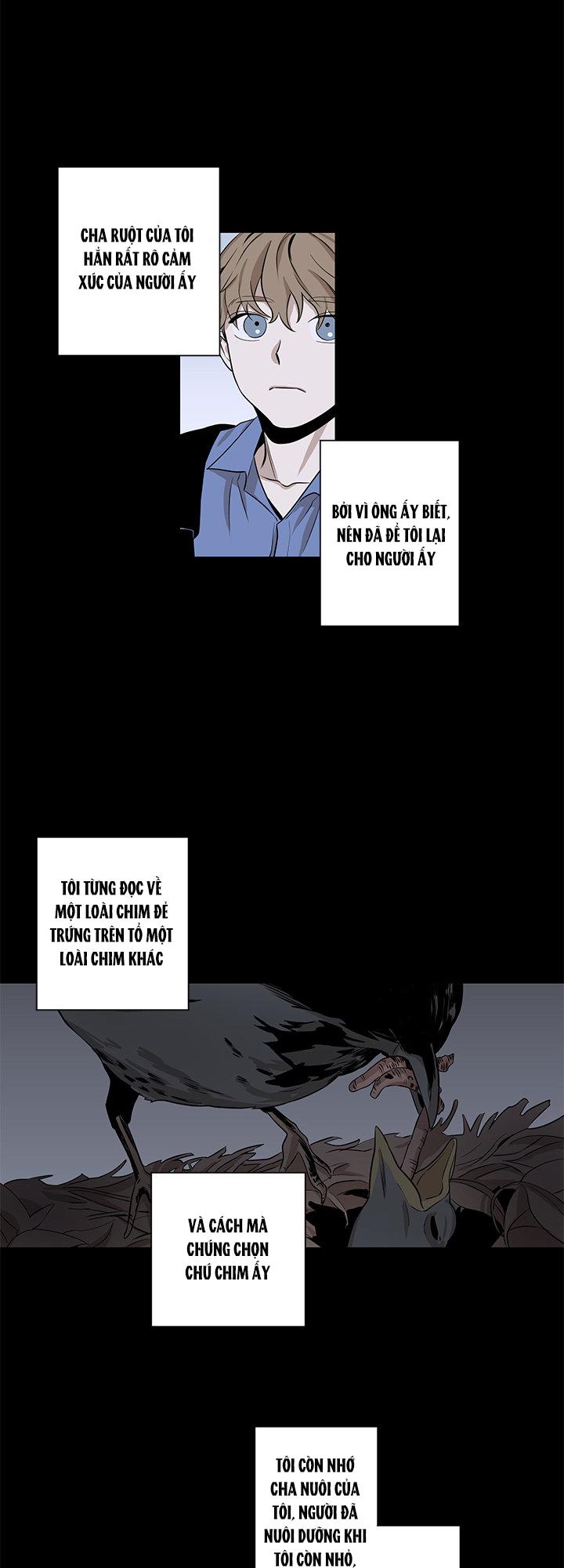Loài Chim Không Bay - Chap 5