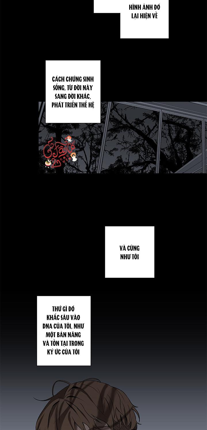 Loài Chim Không Bay - Chap 5