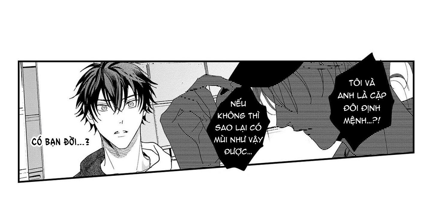 Nữ hoàng Omega hoa lệ - Chap 6