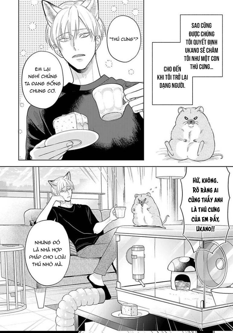 Cách Khiến Một Omega Trở Nên Ngon Miệng - Chap 10