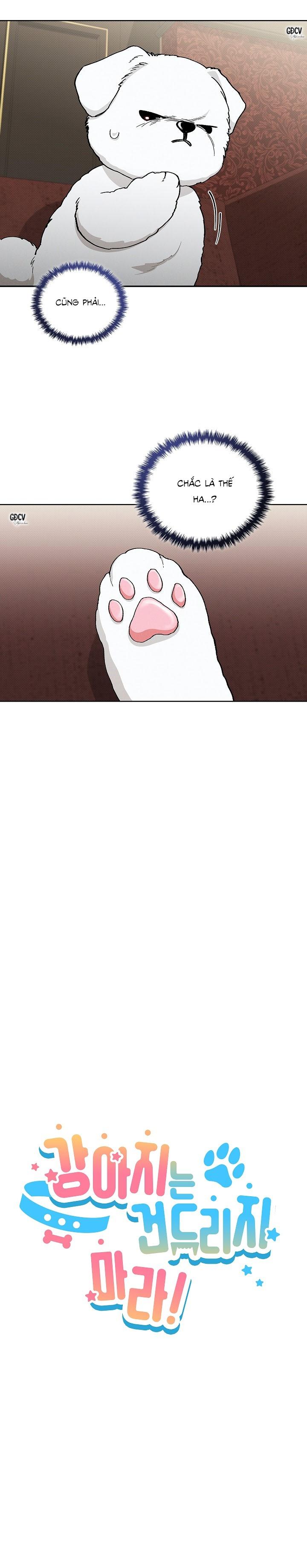 ĐỪNG CHẠM VÀO CÚN CON CỦA TÔI - Chap 2