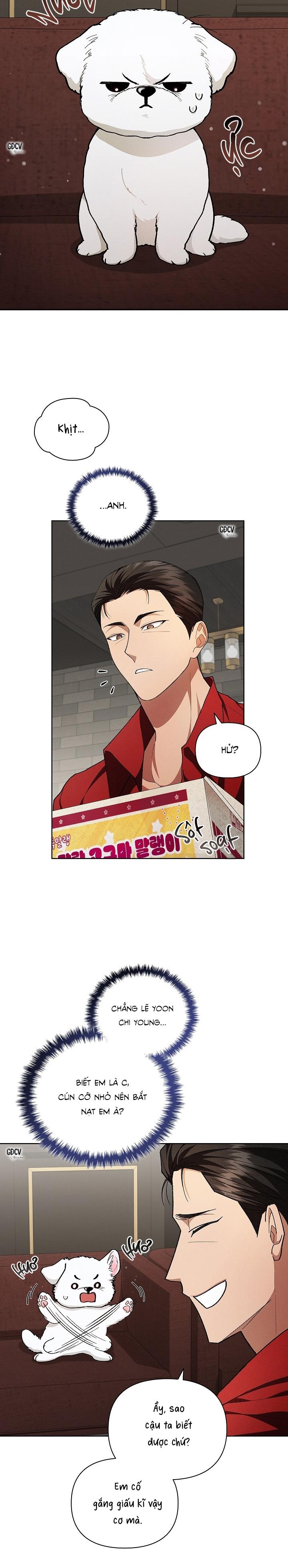 ĐỪNG CHẠM VÀO CÚN CON CỦA TÔI - Chap 2