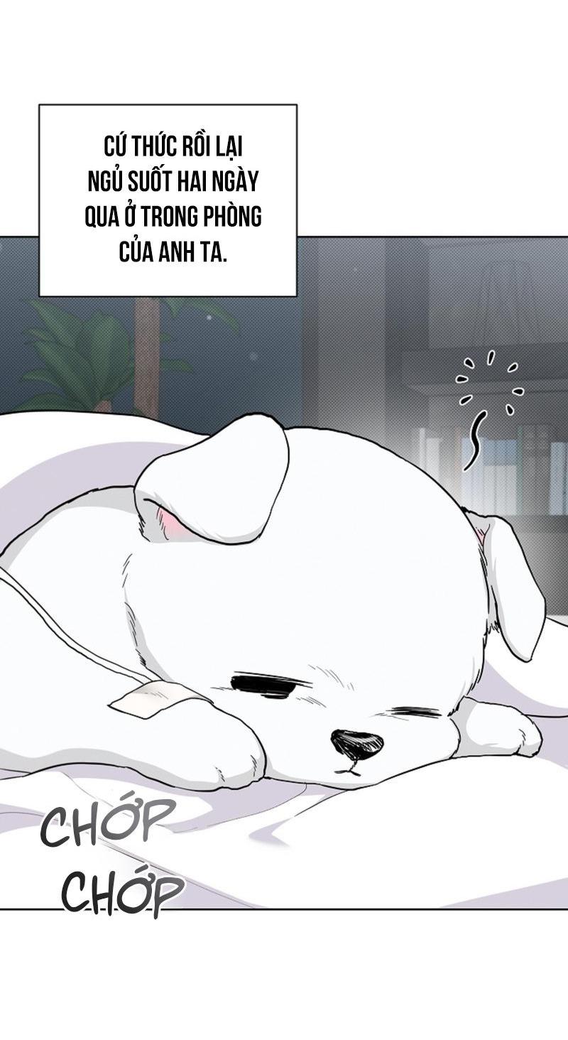 ĐỪNG ĐỘNG VÀO CÚN CON! - Chap 17