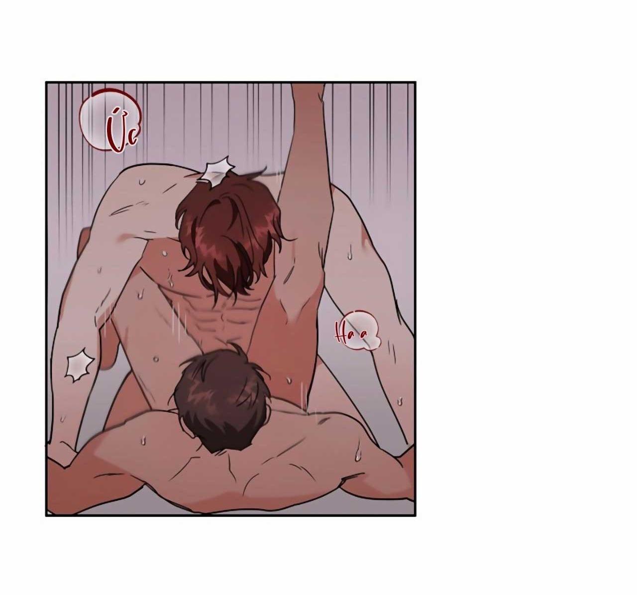 SÓI GIÀ VÀ CÁO NHỎ - Chap 2