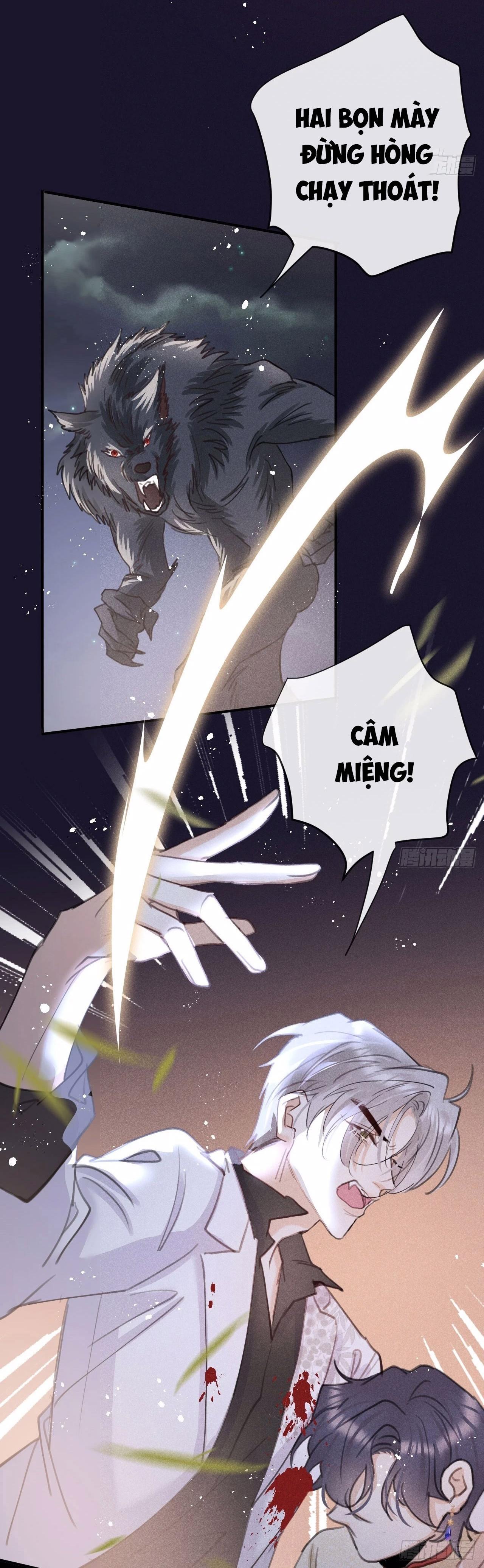 Lang Sói Thượng Khẩu - Chap 71