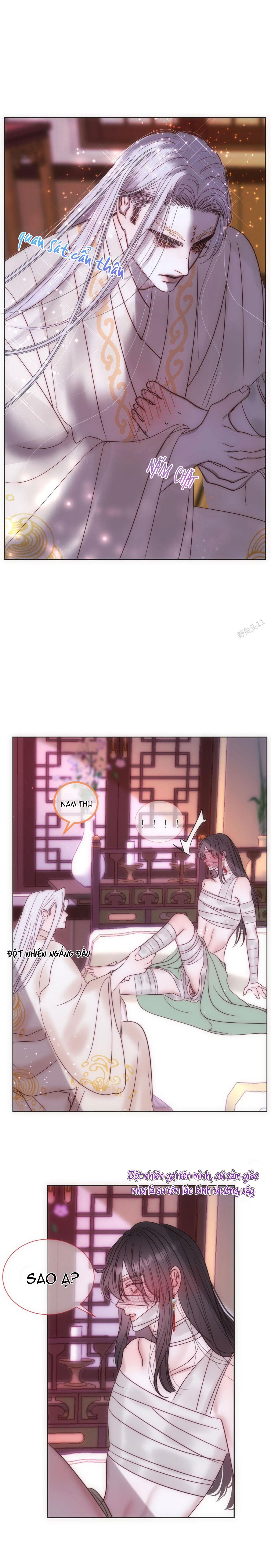 Vài Câu Chuyện Với Sư Tôn Sau Khi Xuyên Sách - Chap 61