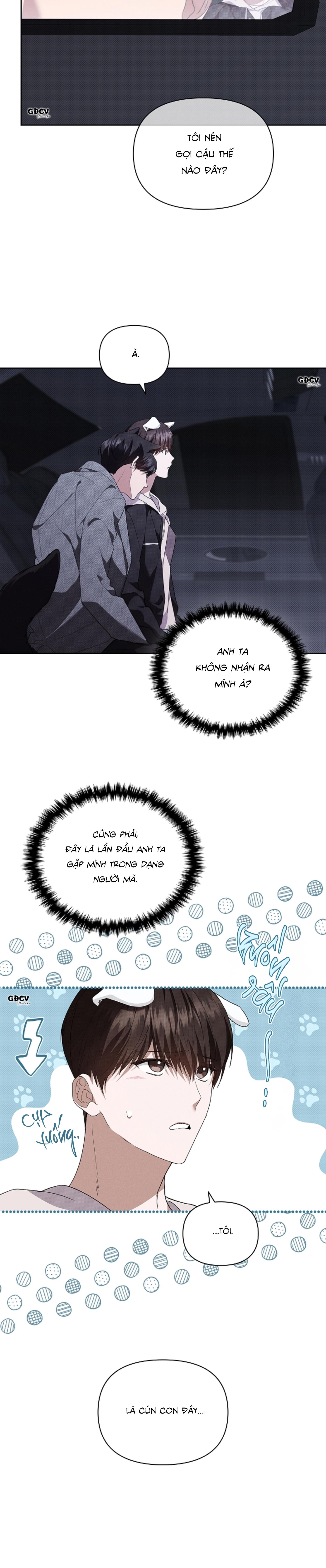 ĐỪNG CHẠM VÀO CÚN CON CỦA TÔI - Chap 19