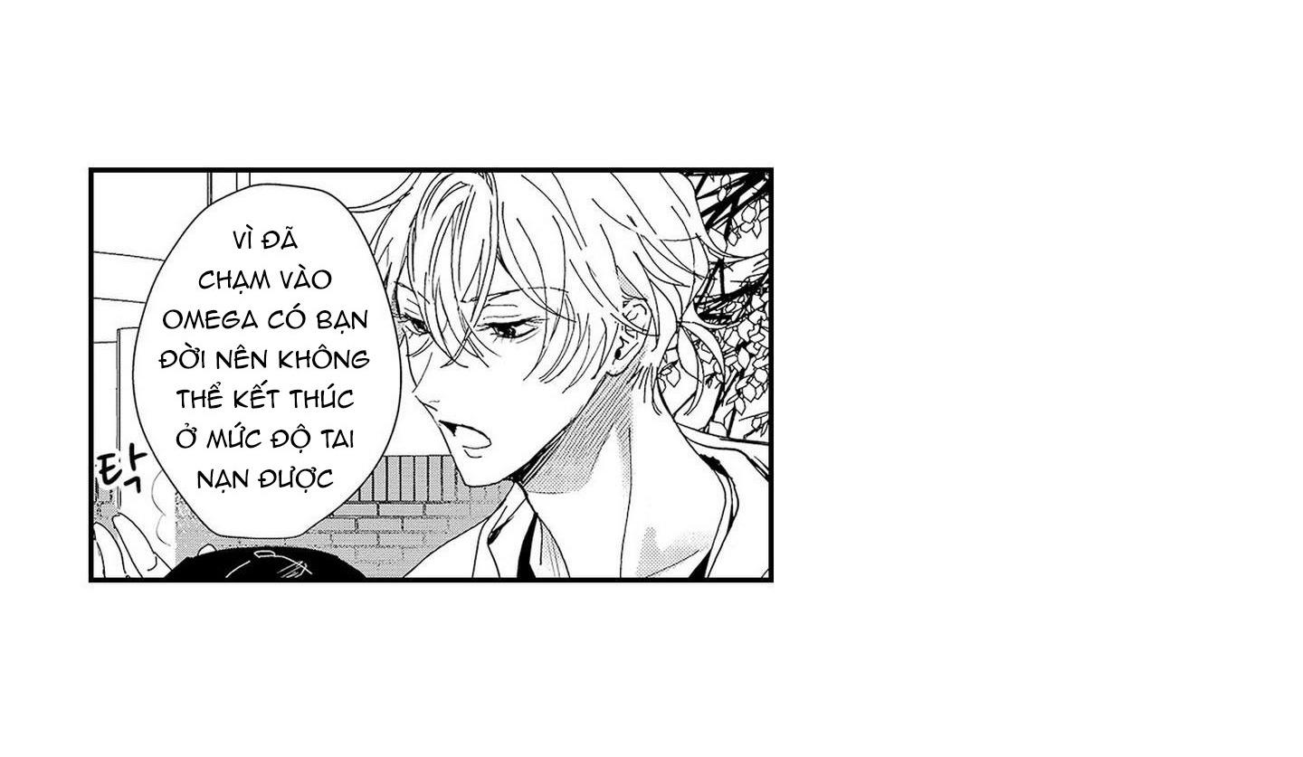 Nữ hoàng Omega hoa lệ - Chap 6