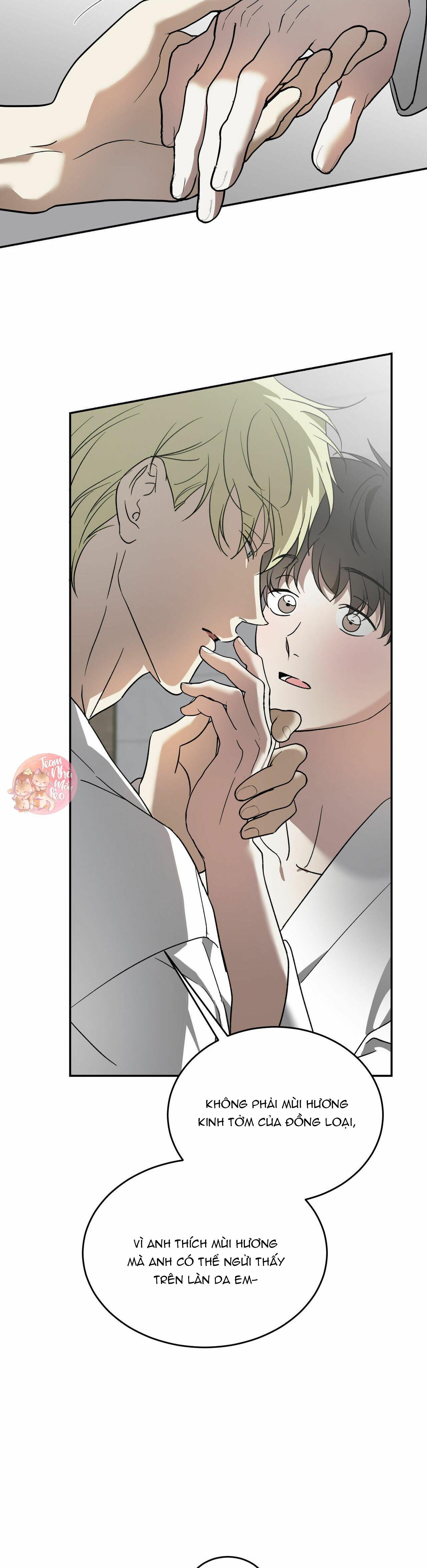 Cấp Trên - Chap 40