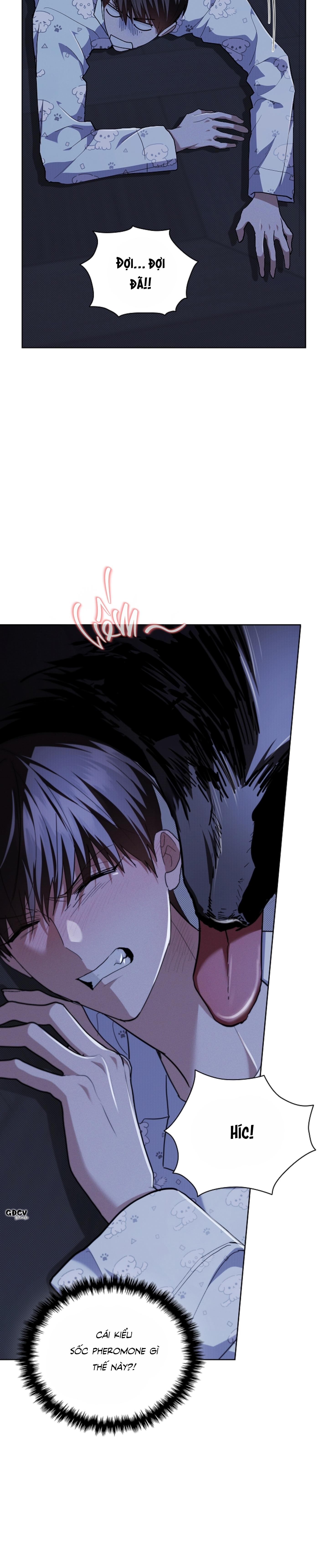 ĐỪNG CHẠM VÀO CÚN CON CỦA TÔI - Chap 19