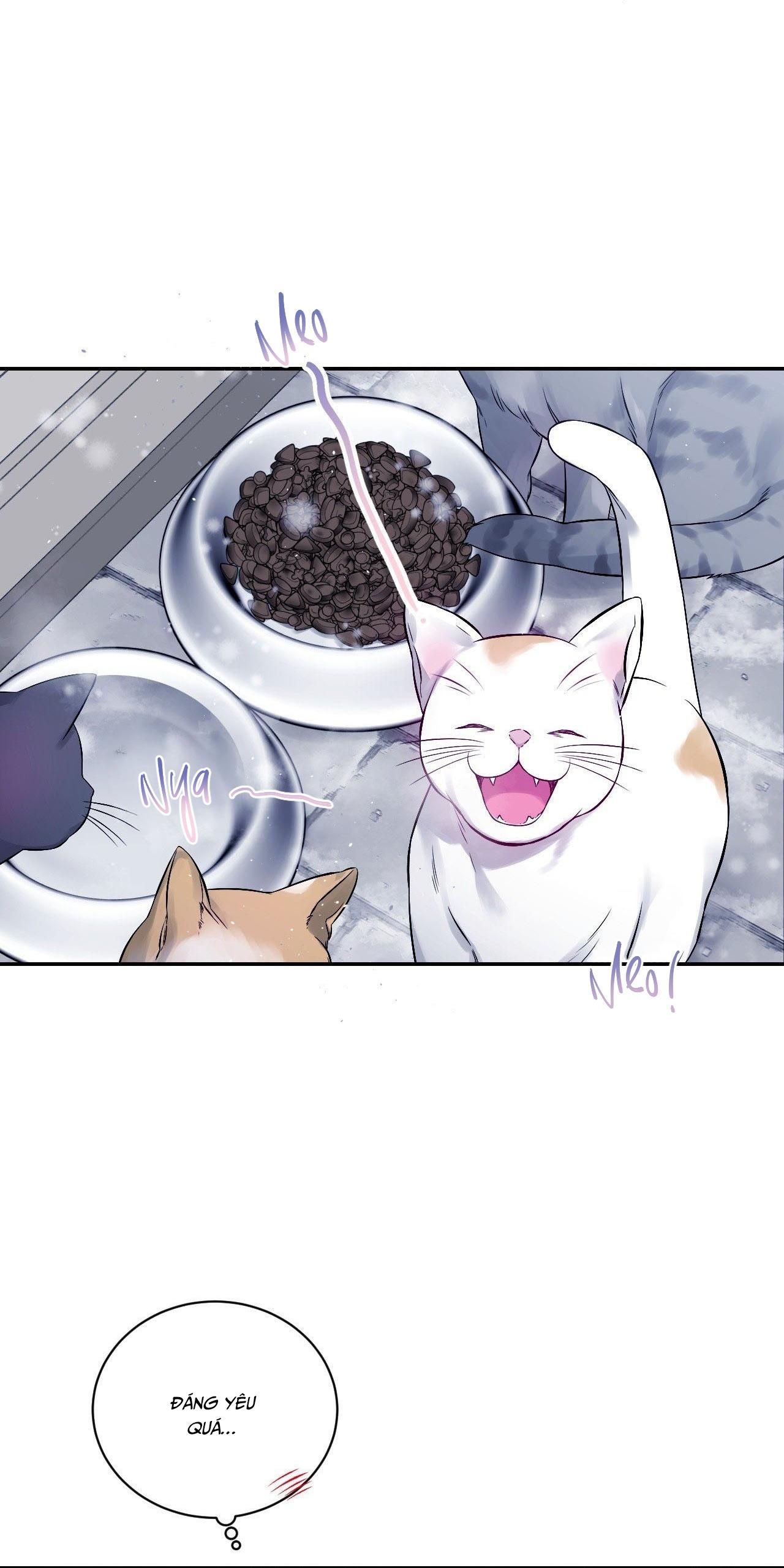 IMPERFECTLY US - Chap 2