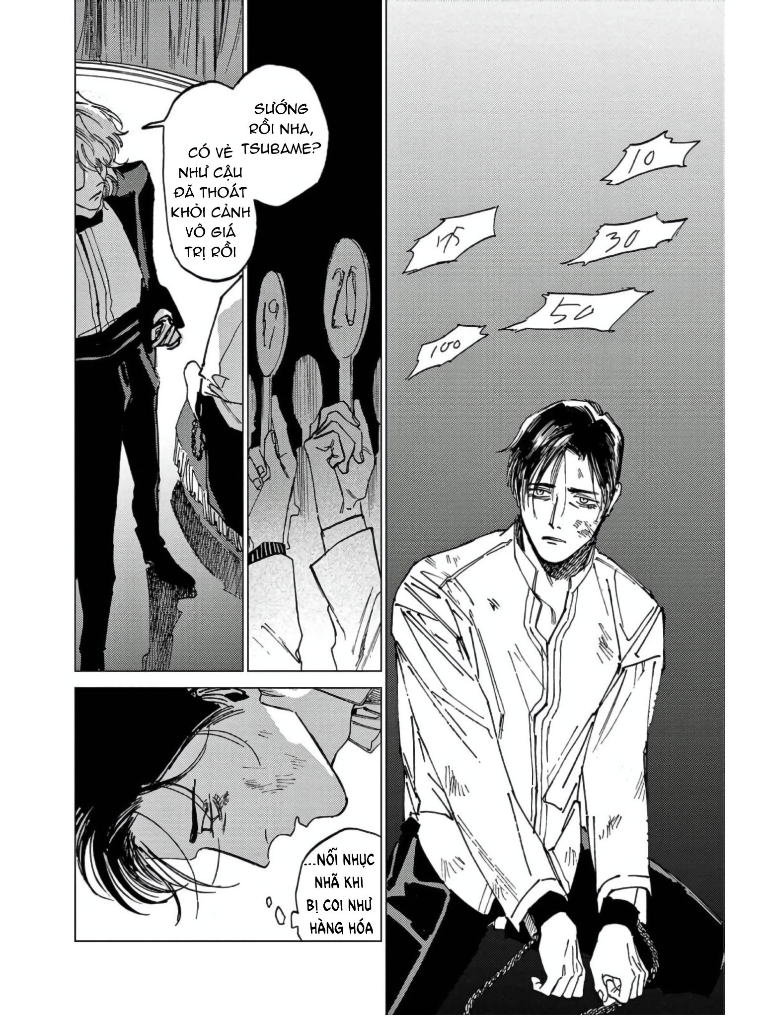 Đấu giá Hikari TOKYO - Chap 6