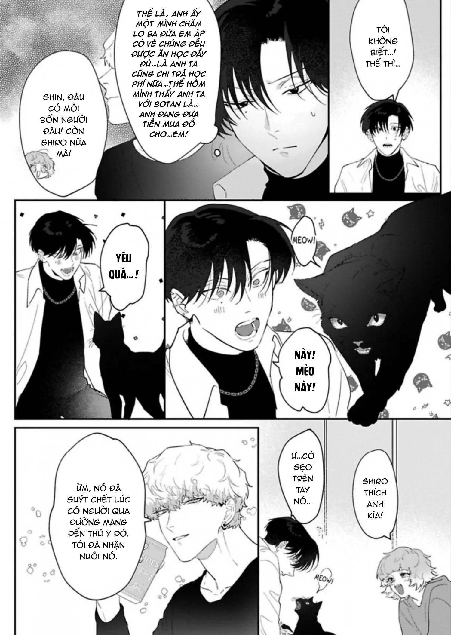 Kabukicho Cat Honey - Chap 3