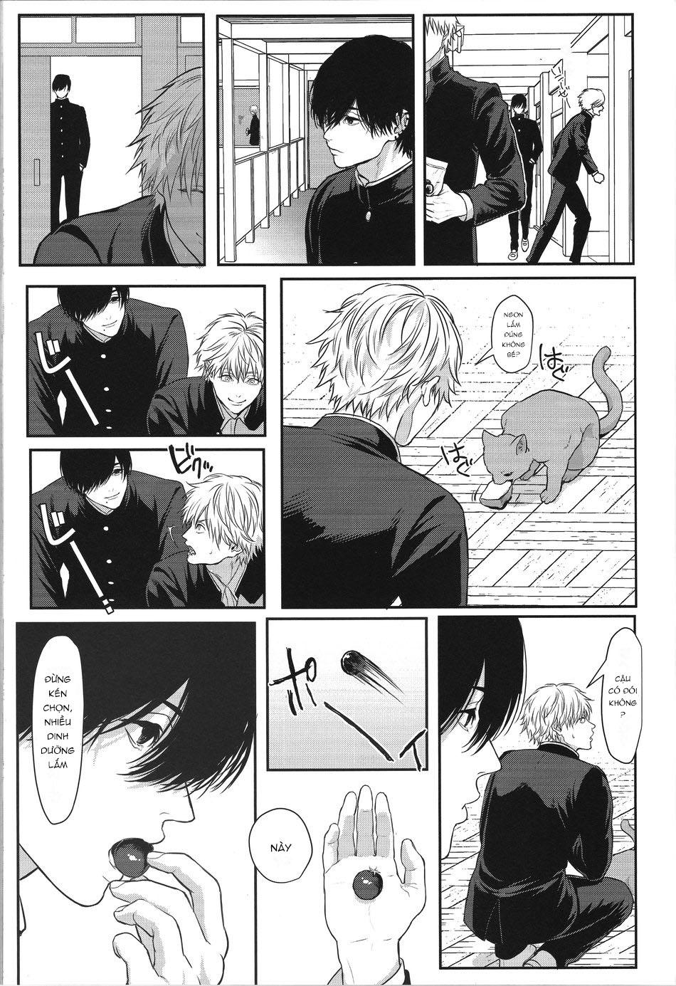 Oneshot hỏny - Chap 256