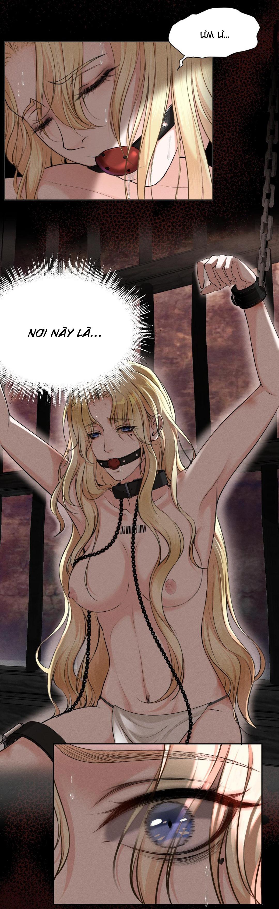 Lông Vũ Ngược Sáng - Chap 15