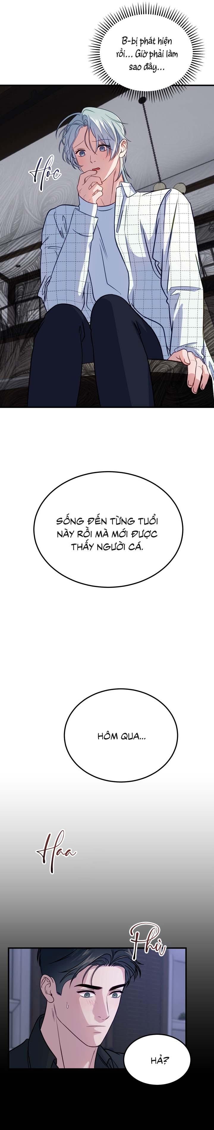 Người Cá Biến Mất - Chap 4