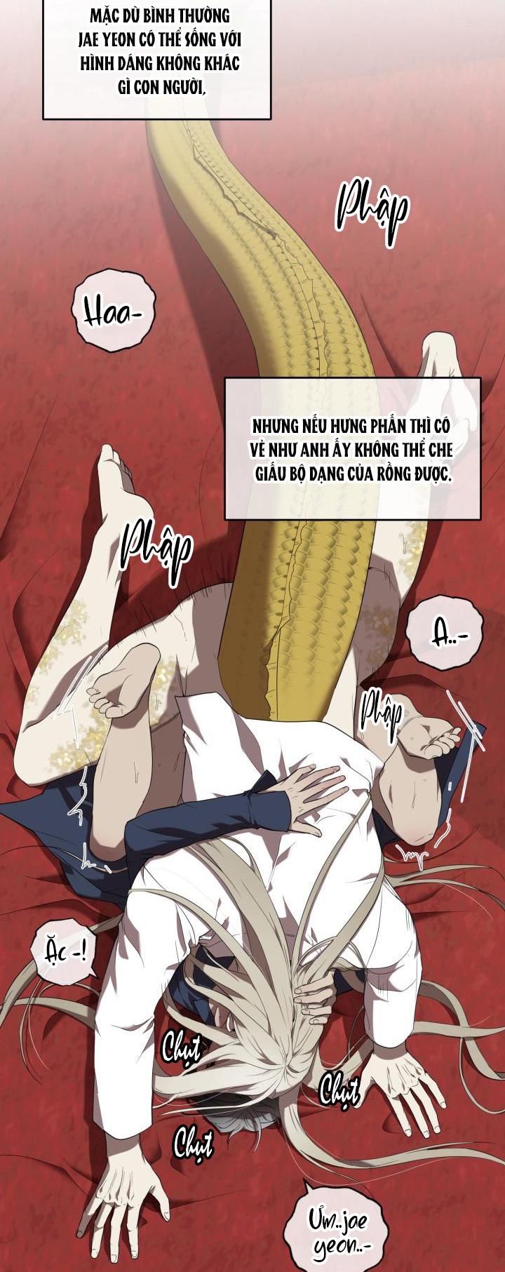 DƯỠNG THÚ CƯNG - Chap 54