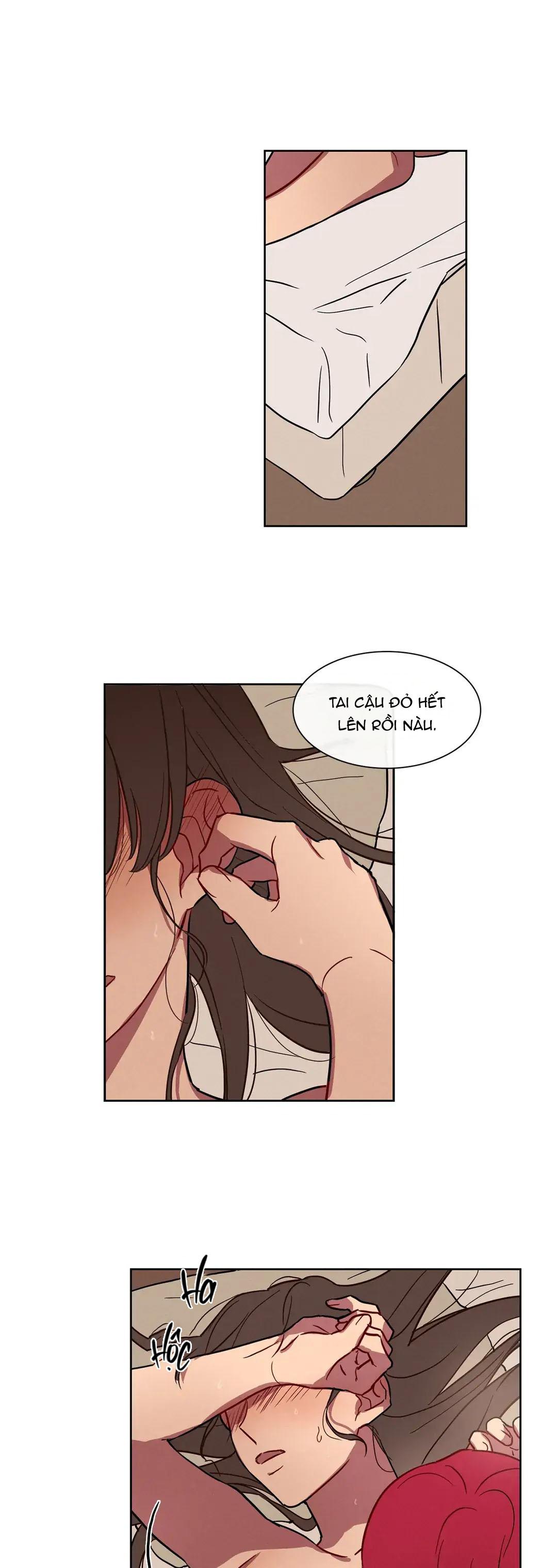 NGỦ NGON NHÉ, LỌ LEM - Chap 35