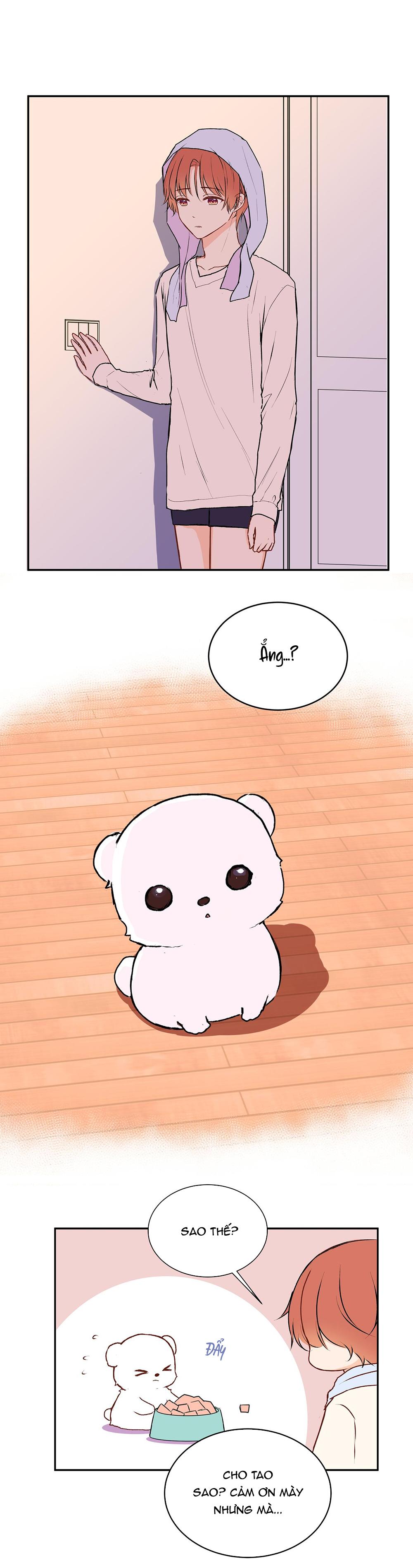 Liquor Gummies - Chap 27