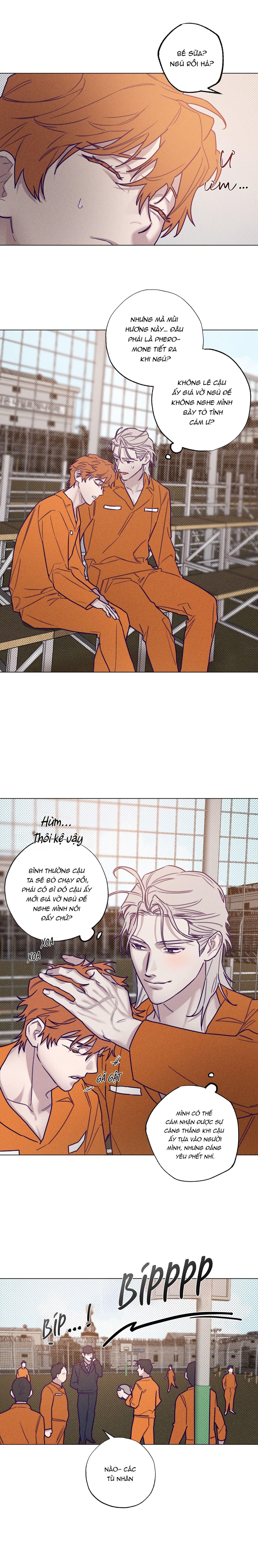 Bữa sáng trong tù - Chap 31