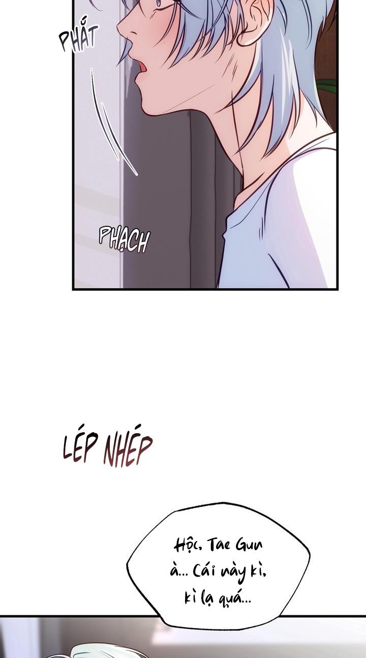 VÀ RỒI NGƯỜI CÁ ĐÃ BIẾN MẤT - Chap 3