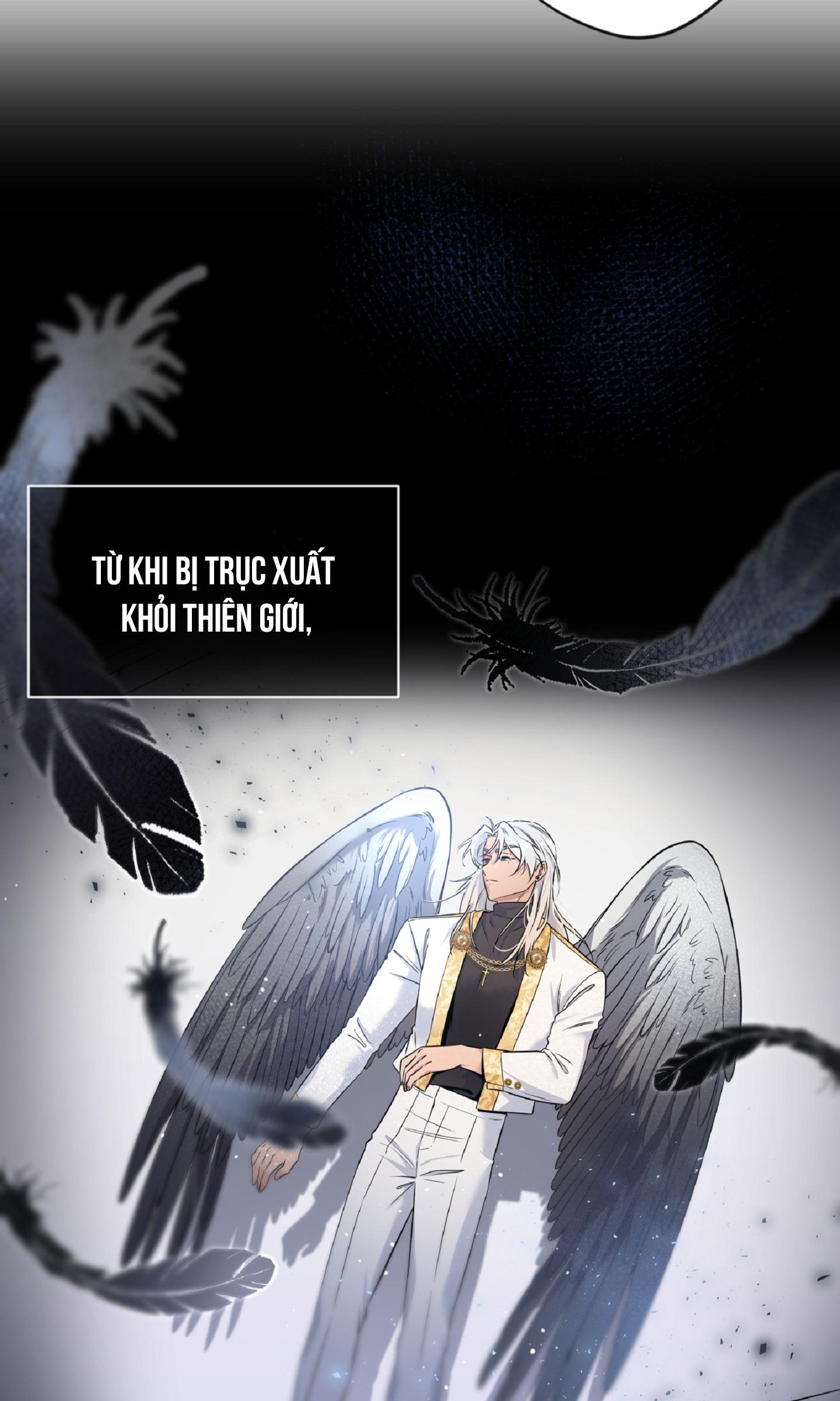 Angel kiss - Chap 4