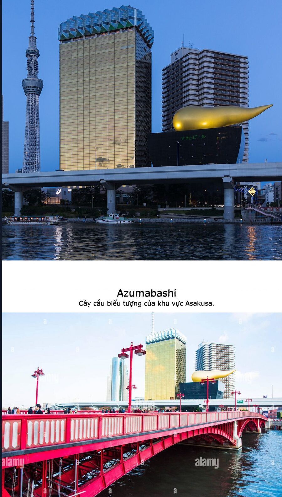 Aizawa Koharu Wa Shi Ni Isogu - Chap 8