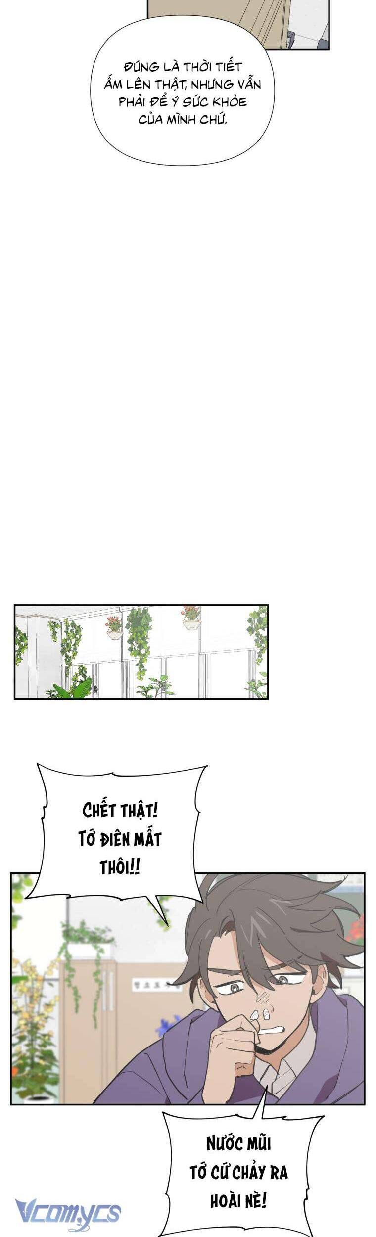 Điều Ước Sao Băng - Chap 9