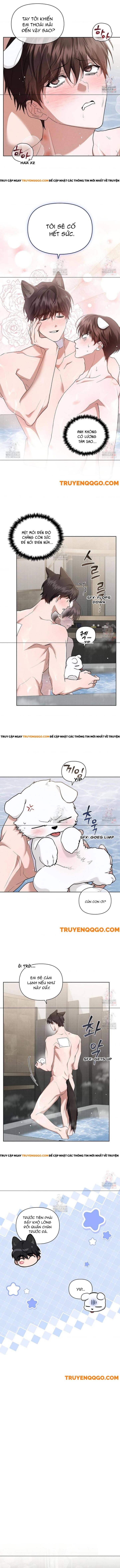 Đừng Đùa Với Cún Con - Chap 44
