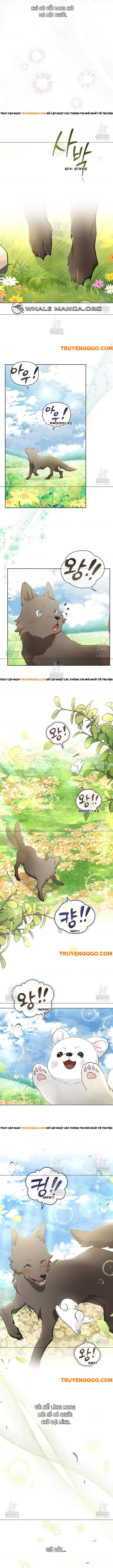 Đừng Đùa Với Cún Con - Chap 44