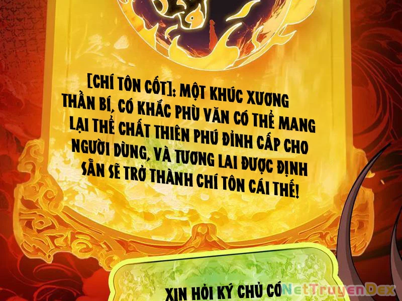 Gặp Mạnh Thì Mạnh, Ta Tu Vi Vô Thượng Hạn - Chap 11