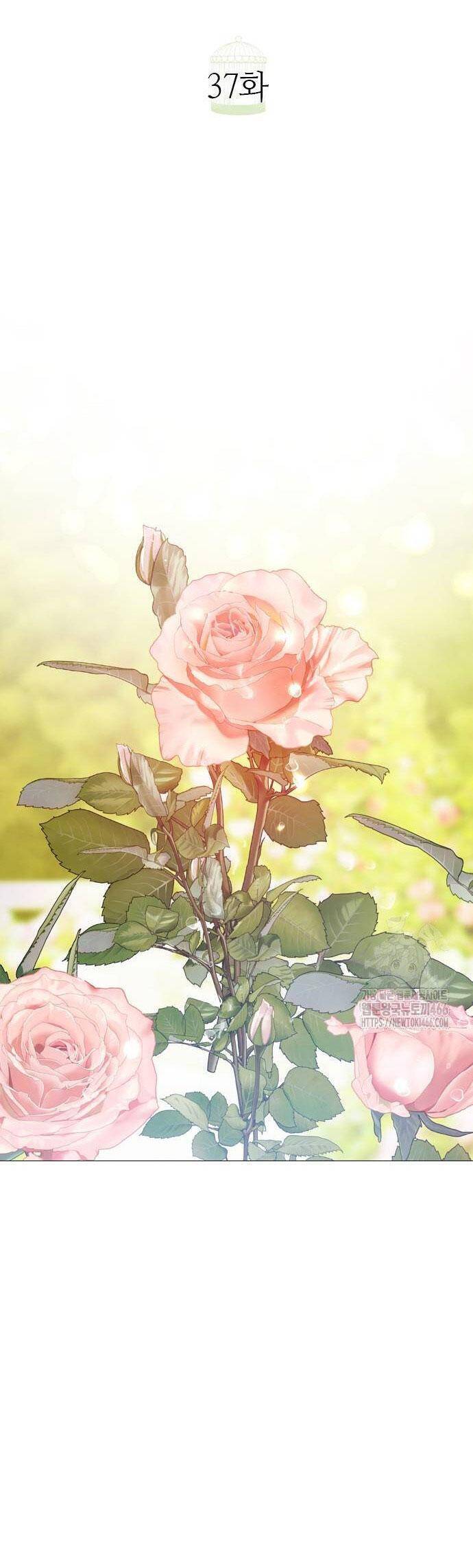 Hãy Khóc Và Cầu Nguyện Đi - Chap 37