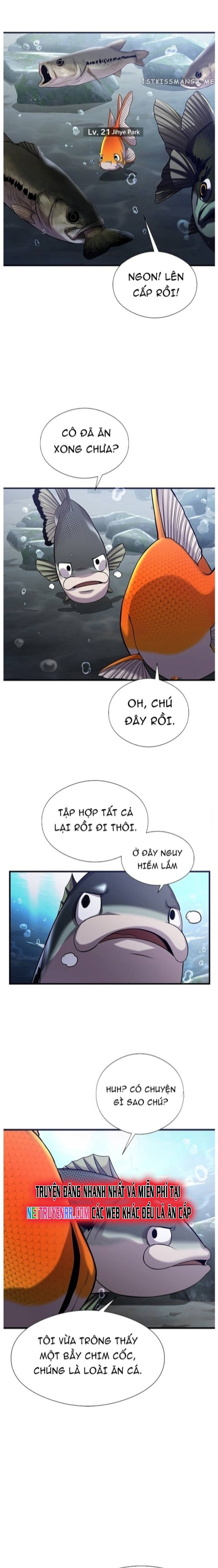 Hoá Thân Thành Cá - Chap 40