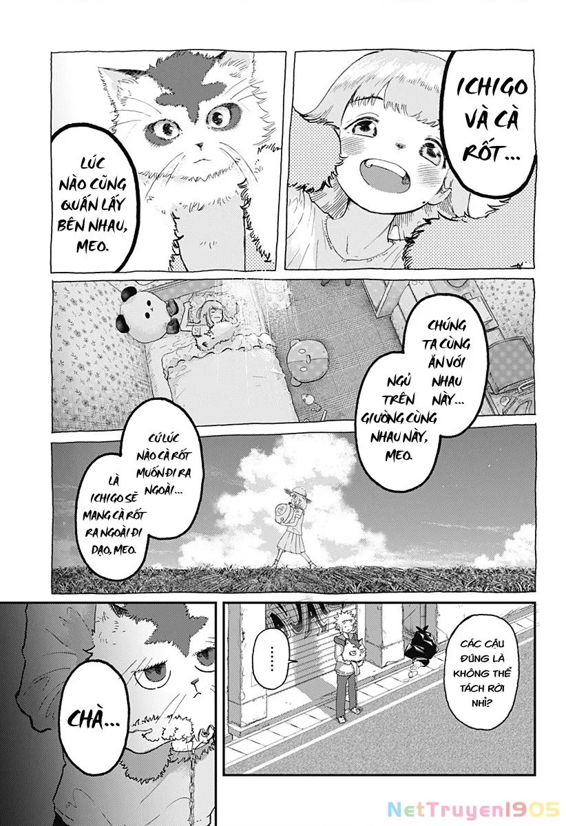 Ngôi sao tương giao - Chap 8