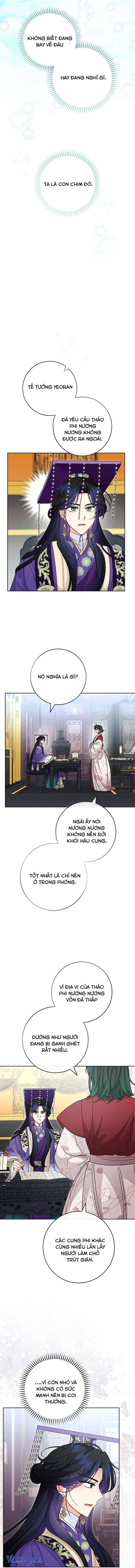Tiểu Thiếp Chỉ Muốn Sống Yên Bình - Chap 116