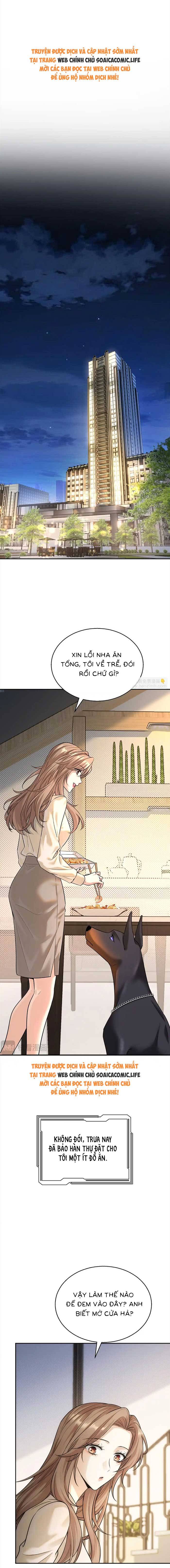 Tổng Tài Chó - Chap 11