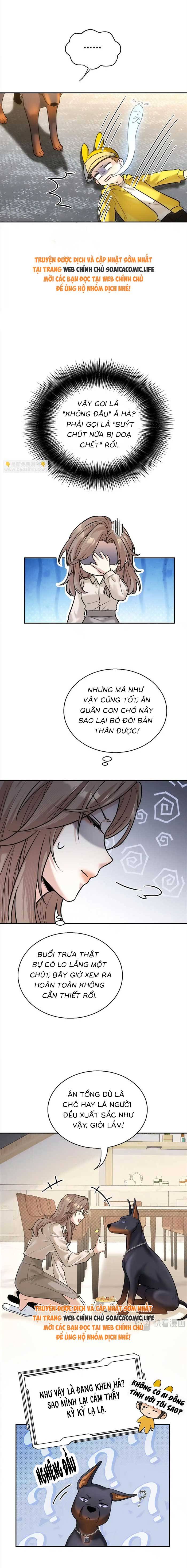 Tổng Tài Chó - Chap 11